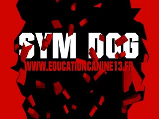 SYM DOG EDUCATION CANINE MARSEILLE