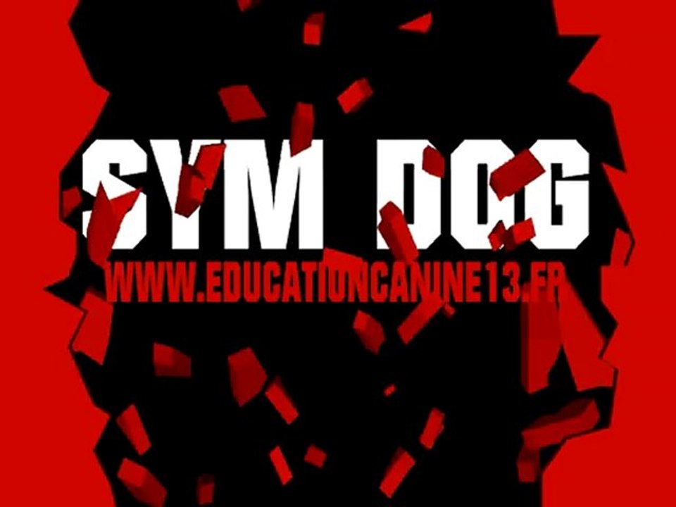 SYM DOG EDUCATION CANINE MARSEILLE