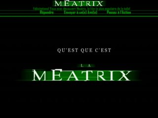 The Meatrix / la Trilogie