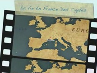 Le voyage en France des cigales