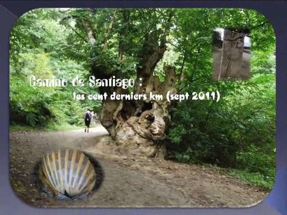 Camino Frances 2