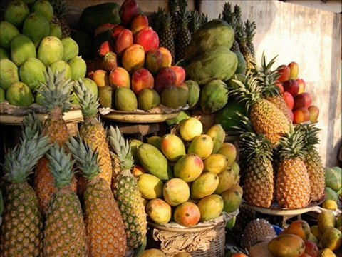 Le Togo, en forme longue la République togolaise,