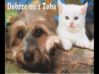 Wioletta Willas= Wielka artystka