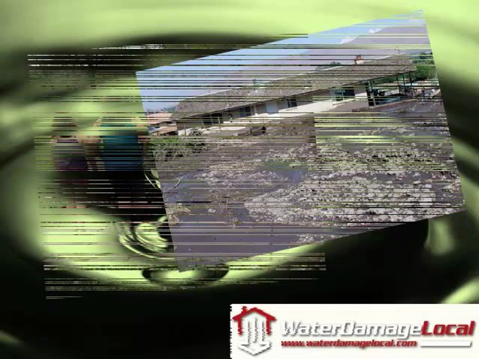 Local Flood Damage in Chicago Illinois