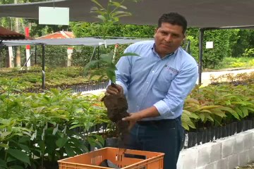 CAJAMARCA 1 AGUACATE Mayo 16 de 2012