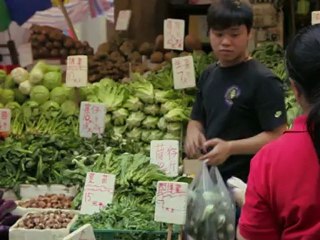 Halal Friendly Holidays - Find your Serendipity