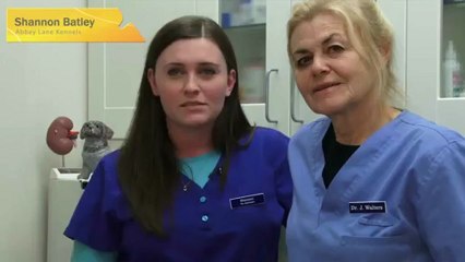 Kennel Omagh Milton ABBEY LANE KENNELS