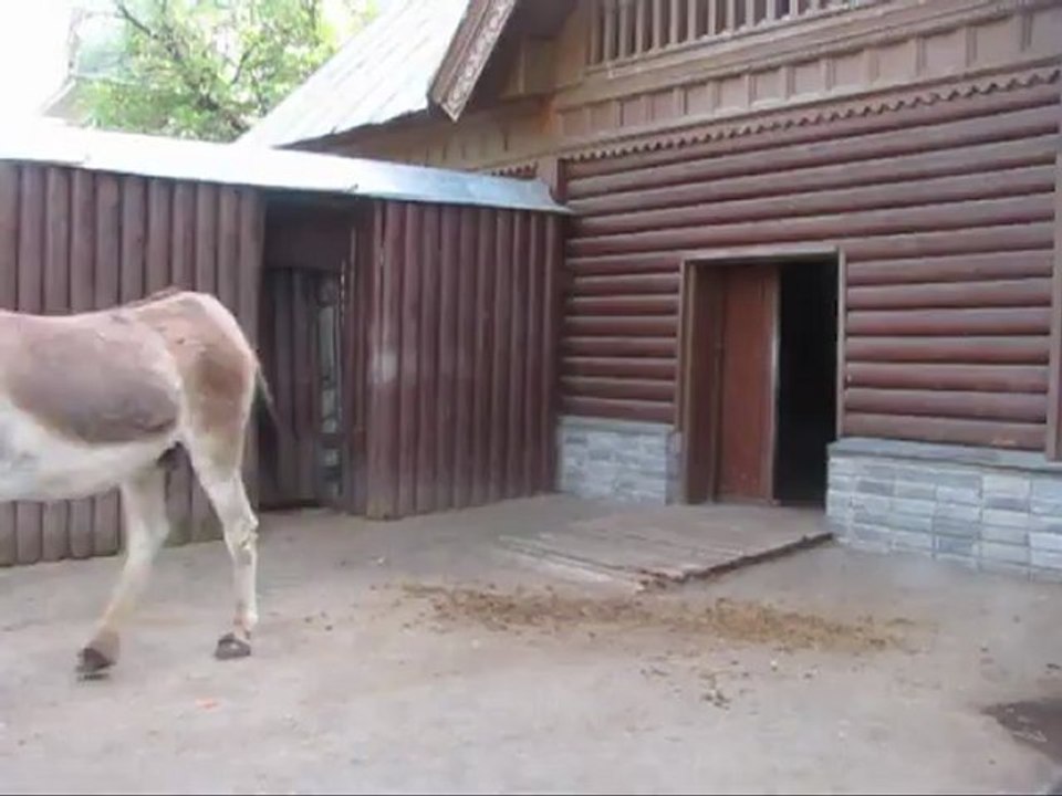 Мои друг