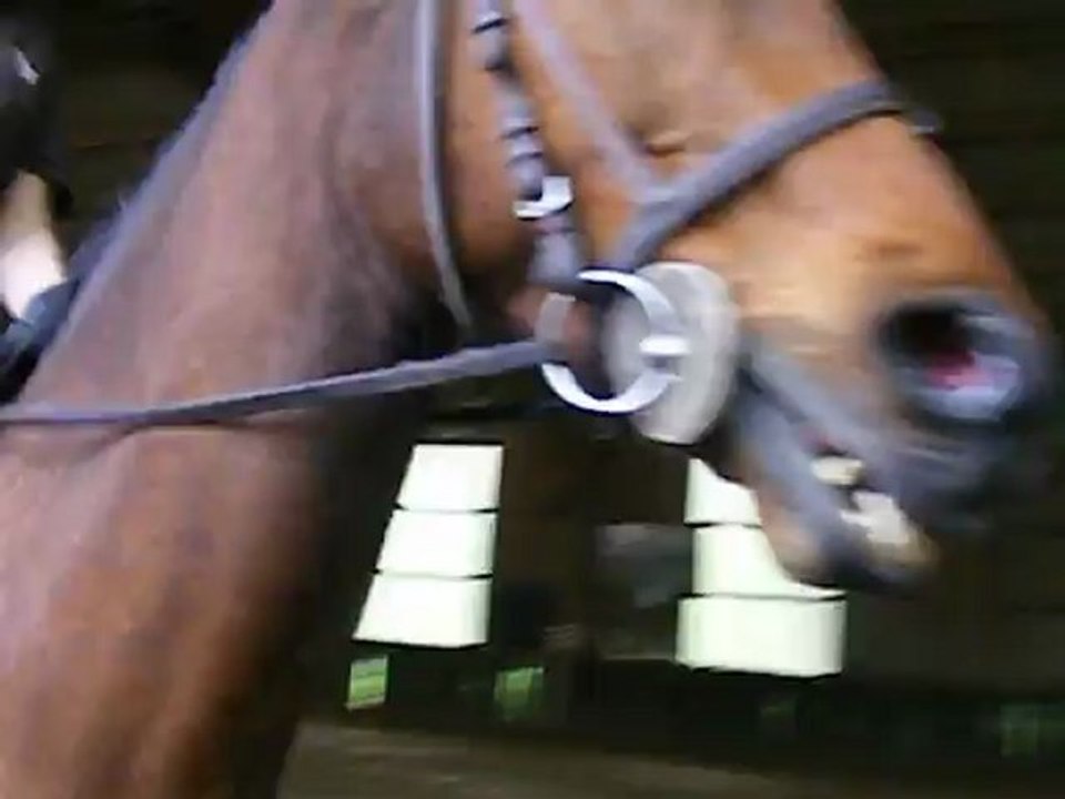 Finale Universitaire de Dressage - 06/05/12 - Tredakaan - Amateur 3 Préliminaire ( D2 )