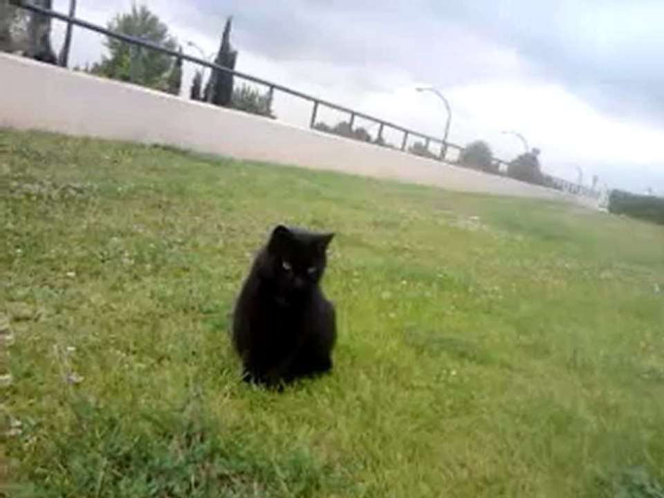 video-2012-05-17-15-34-24
