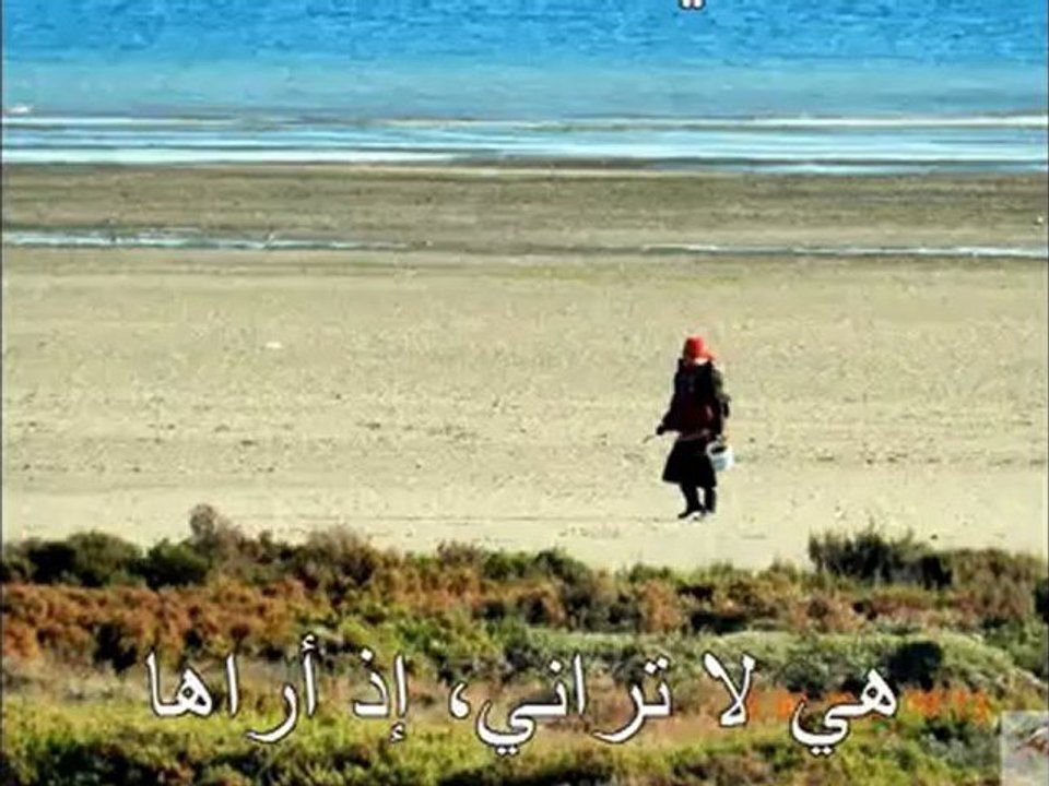 محمود درويش "عبق القصيدة العربية" -  هي في المساء وحيدة