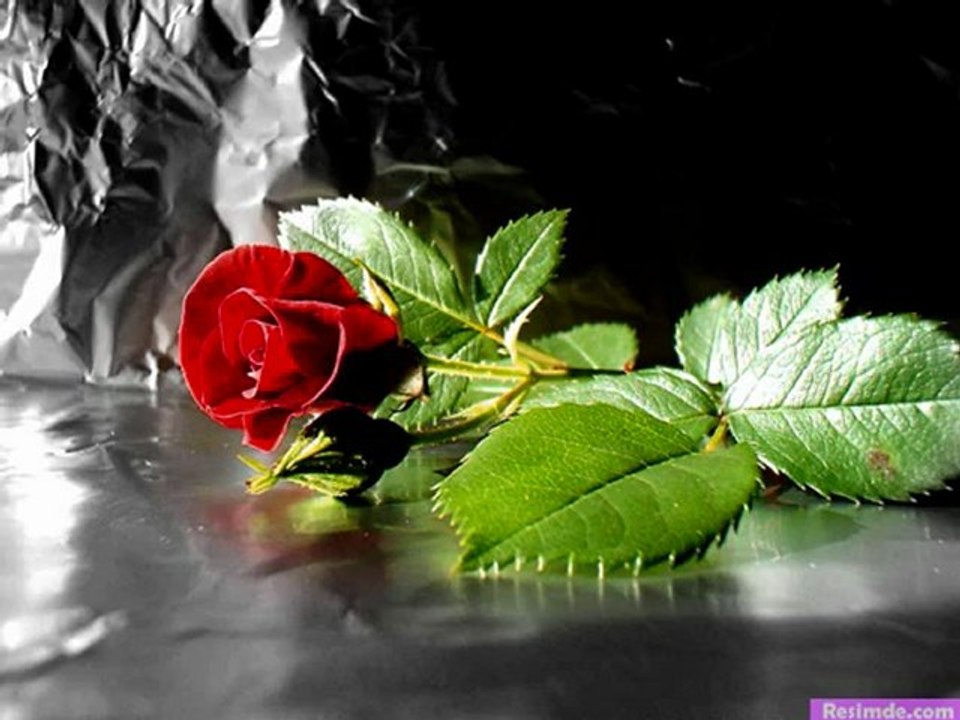 amatör şiir ufuk acar