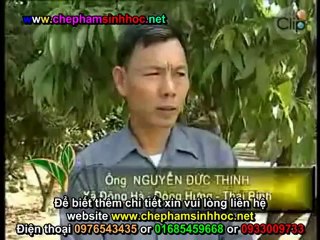 Hướng dẫn sử dụng men ủ vi sinh thay thế chất tạo nạc trong chăn nuôi 1