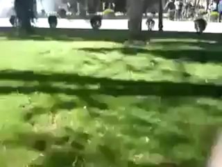 Syria فري برس حلب هام للقنوات ضرب الامن للطلاب امام المراقبين 17 5 2012 Aleppo