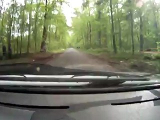 Haillot 2012 Legait-Fleres 205 rallye div3/8