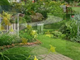 Pest Control Salt Lake City CALL 801-999-4347