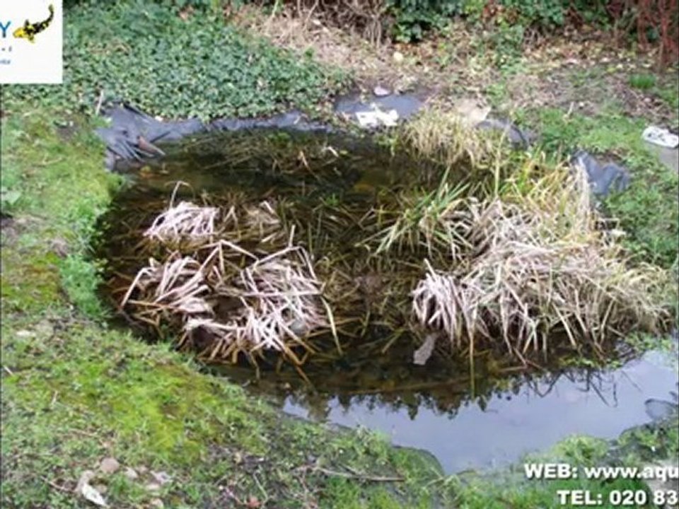 Aquajoy - School Fish Pond Refurbishment