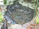 Aquajoy - Small Fish Pond