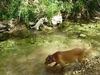 Sources de l'Huveaune 15-05-2012 n° 2