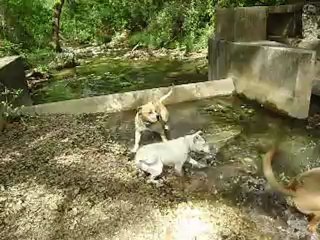 Sources de l'Huveaune 15-05-2012 n° 1