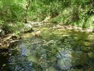 Sources de l'Huveaune 15-05-2012 n° 3