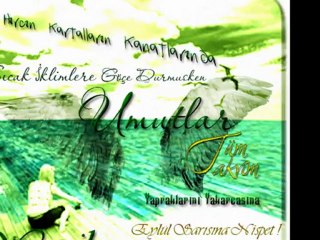 Seda Tripkolic ft. Gökçe - Ayırdın Sevenleri 2012