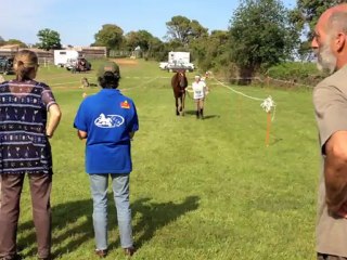 ENDURANCE 90 vit libre CASINCA MAI 2012