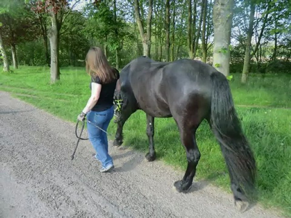 2012 05 13