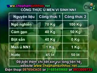 Hướng dẫn sử dụng men ủ vi sinh thay thế chất tạo nạc trong chăn nuôi 5
