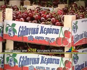 Πρώτη χρονιά που τα κεράσια έμειναν πάνω στα δέντρα