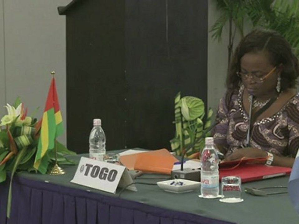 Mali: l'Afrique de l'Ouest accuse l'ex-junte pour "l'impasse"