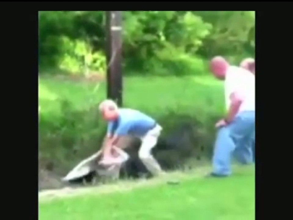 Man attacked by alligator in North Carolina, USA