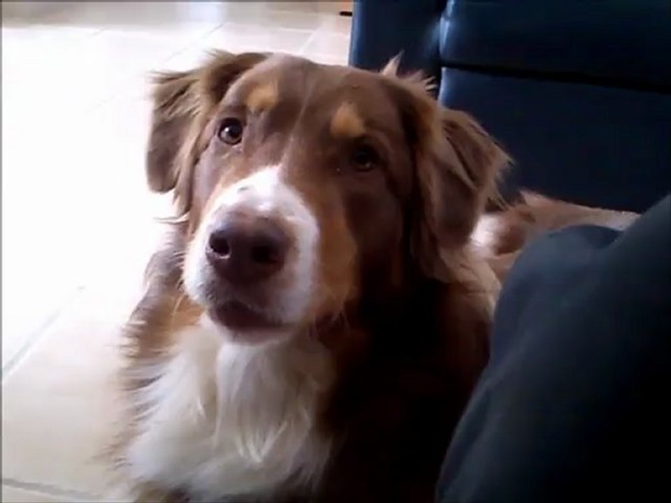 Diego regarde un film
