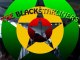 The Blackstarliners aux P'tites Lessives 2012
