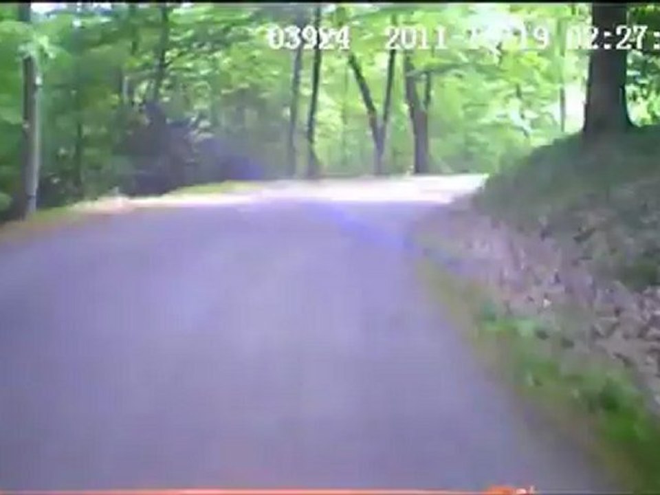 ES1_coutellerie2012