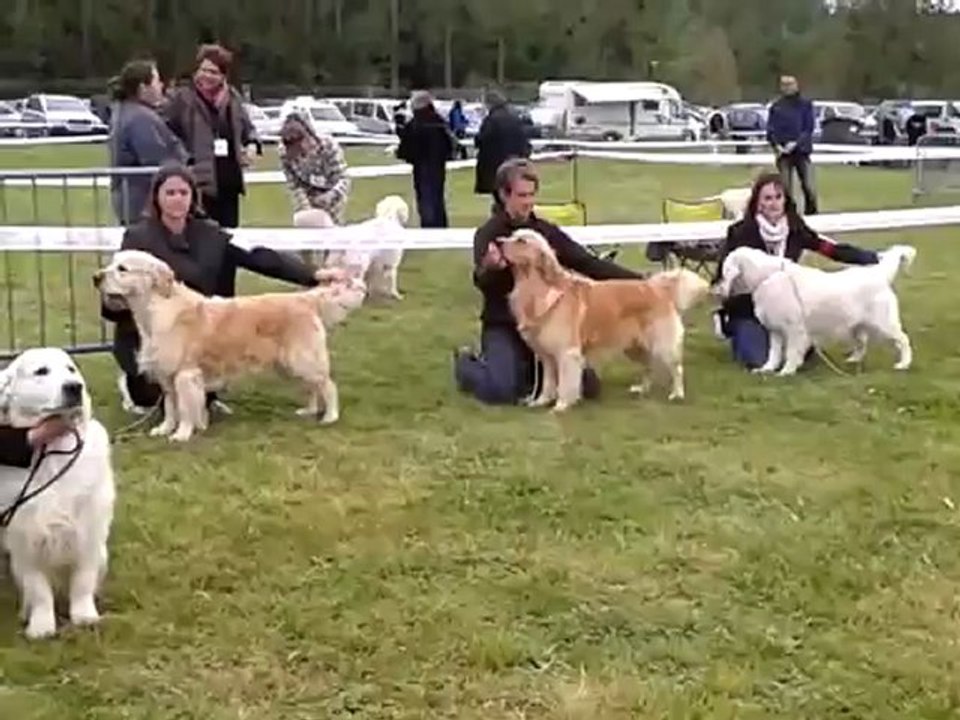 Expo CACS Evreux 17 mai  2012 CL ouverte mâle suite