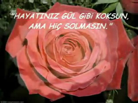 tekseslimekan.com Herkes burda ya sizler bizler sanalda guzel seyler yapıyorz