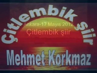 Martıların göz yaşları-Mehmet Korkmaz