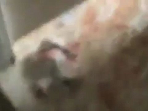 Syria فري برس حماة المحتلة طريق حلب آثار دماء الأطفال جمعة أبطال جمعة حلب 18 5 2012 Hama