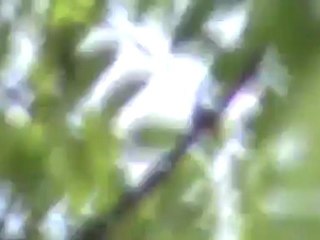 Syria فري برس   حماه المحتلة محاصرة مسجد السرجاوي 18 5 2012 Hama