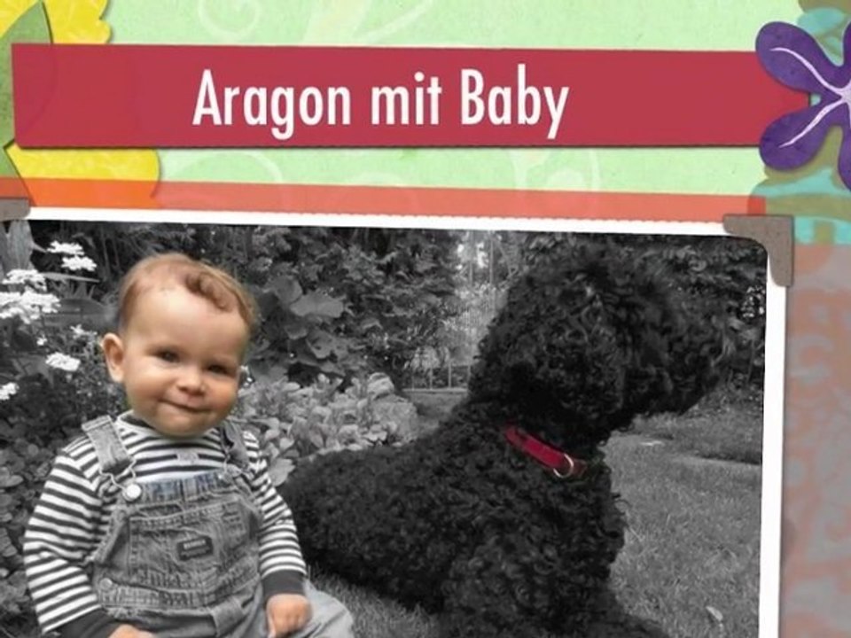 Aragon mit Baby