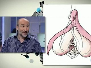 Mitos de la ciencia: Cosas de sexo