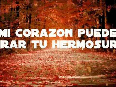 Tu estas aqui Jesus Adrian Romero (pista karaoke) (2)