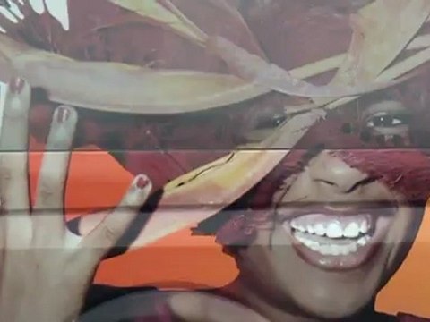 New01.mpg N11 HOLLANDE VENLO FLORIADE MAI 2012 FIN