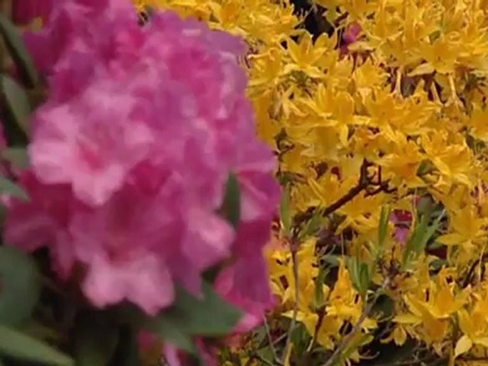 Lake Constance - a voyage of discovery | Discover Germany