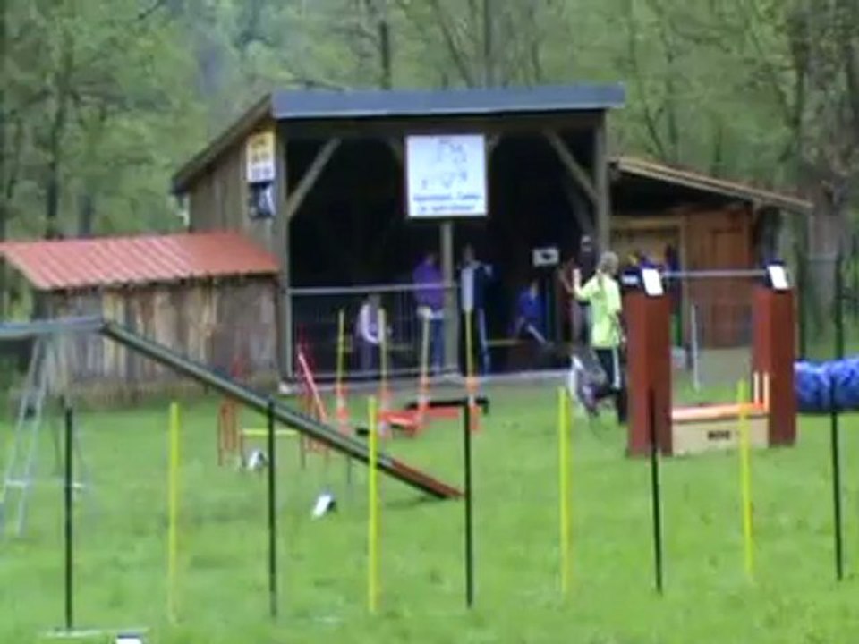 Apprentissage de Feeby à l'agility 8 mai 2012