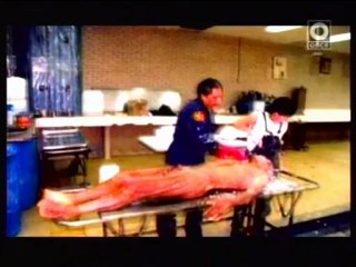 La Caja Negra - Entrañas