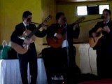 SERENATA en Bogota, musica de cuerda con TRIO sorio, muy romantico
