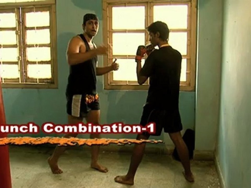 Deadly Art : Punch Combinations