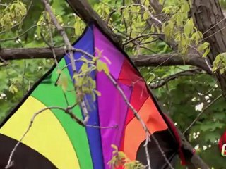 Accident du nid d'oiseau